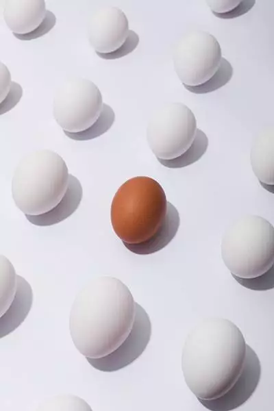 Фуд фото яиц