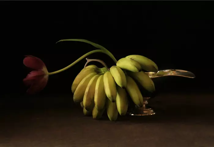 Фотонатюрморт бананы и тюльпан Джулии Сент