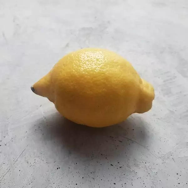 Лимон с контровым светом