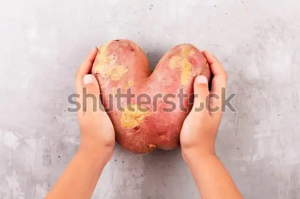 Стоковое фото картошки